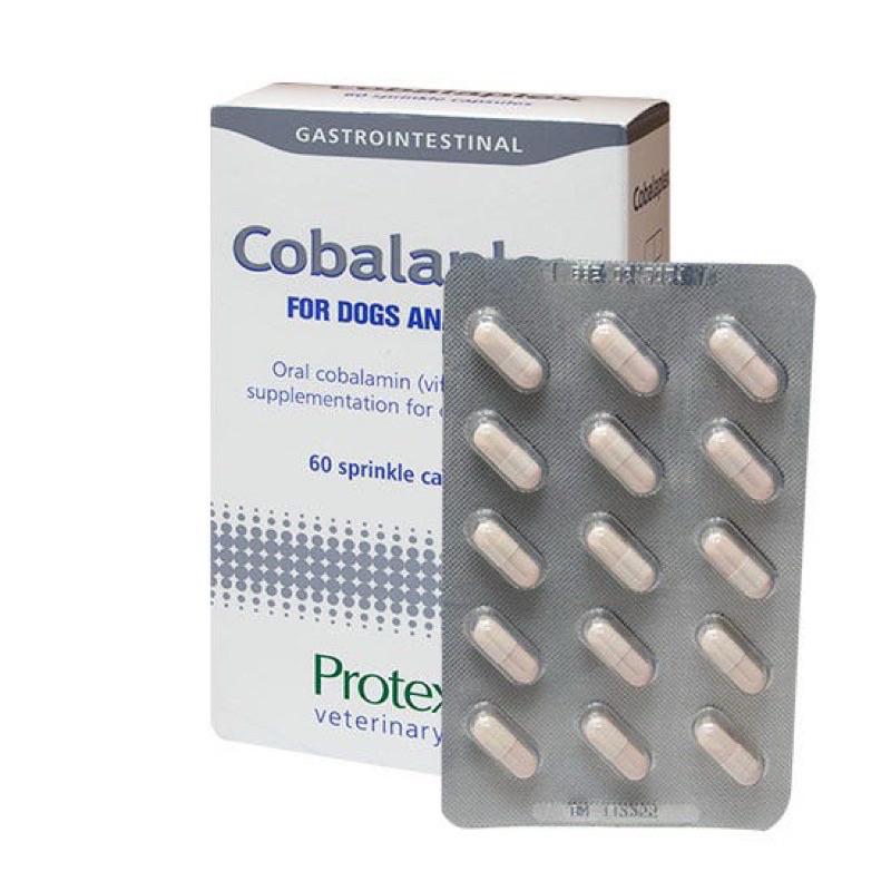 Protexin Cobalaplex 可萊適 貓狗 益生素 60膠囊