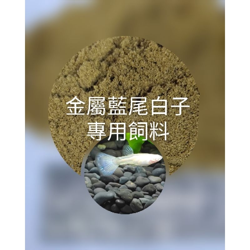 悠美水族** 金屬藍尾白子 孔雀魚專用飼料