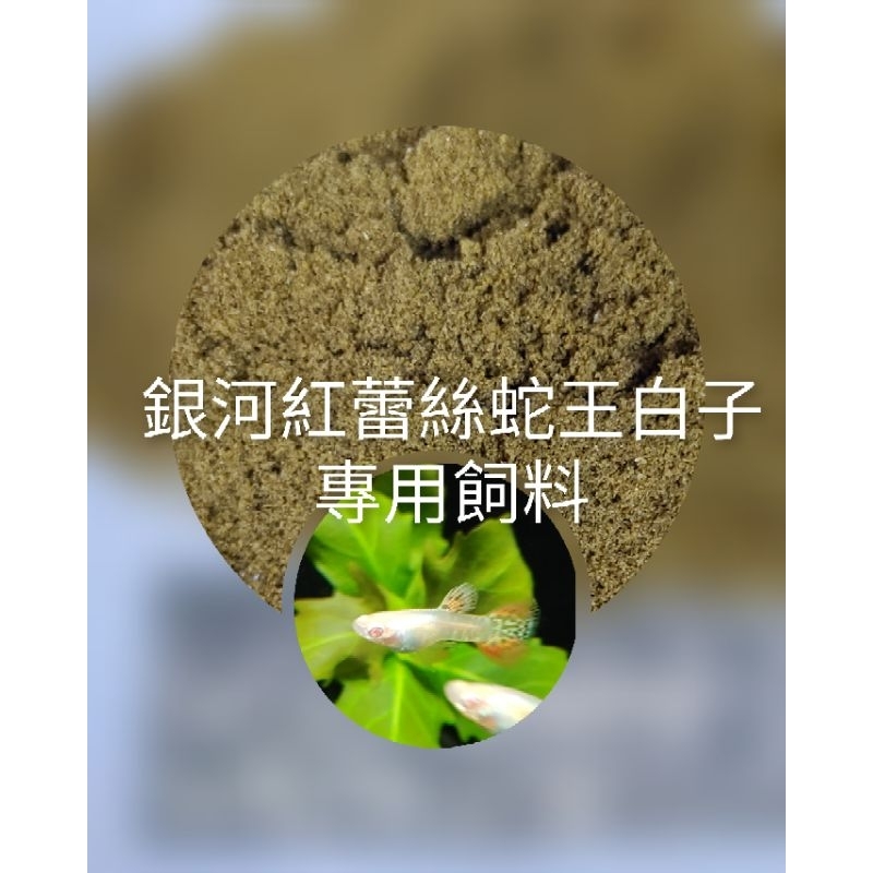 悠美水族**銀河紅蕾絲蛇王白子 孔雀魚專用飼料