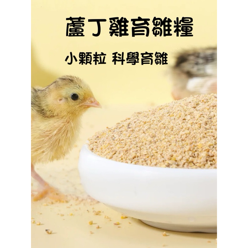 蘆丁雞 開口糧 育雛糧 幼雞飼料 剛出生就可以吃的糧