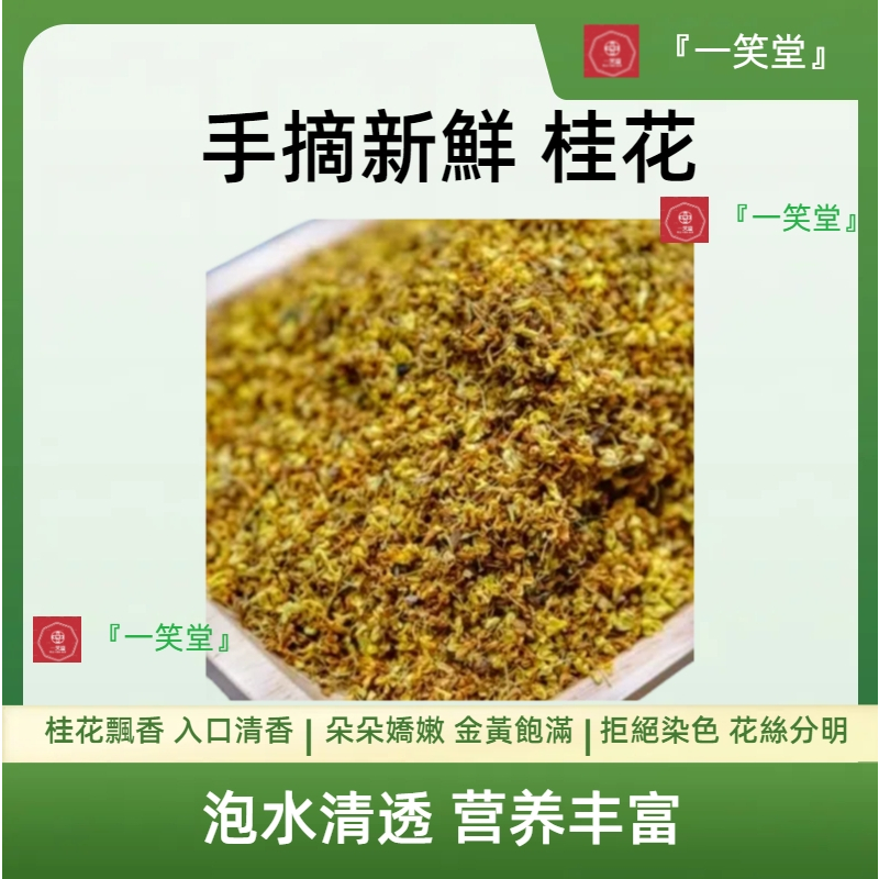 『一笑堂』手摘桂花 桂花 每份約37g 桂花釀 天然清香同仁堂 藥膳 補氣血 中藥批發 中藥材包 中藥湯 養身茶