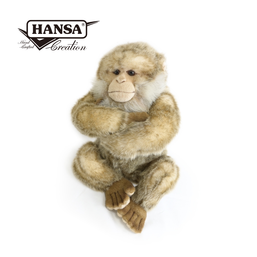 Hansa 7304-獼猴34公分