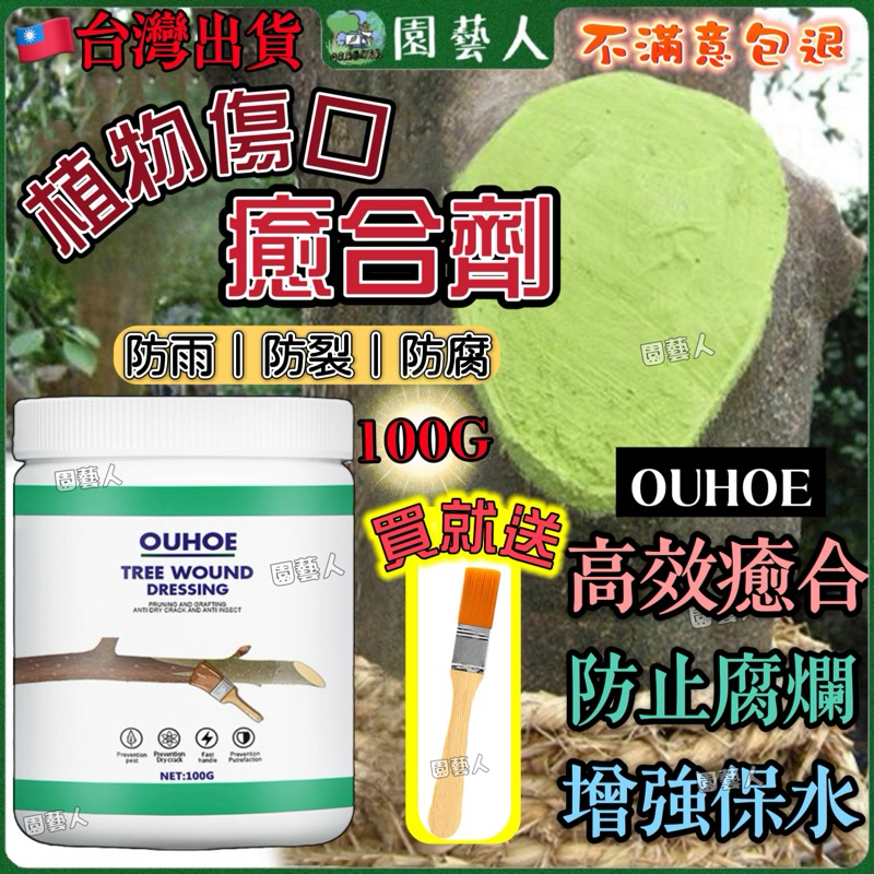 【送刷現貨🔥最低價】OUHOE 植物 傷口 癒合劑 傷口癒合劑 切口癒合劑 大樹 盆景 樹皮 樹幹 嫁接 盆景 傷口癒合