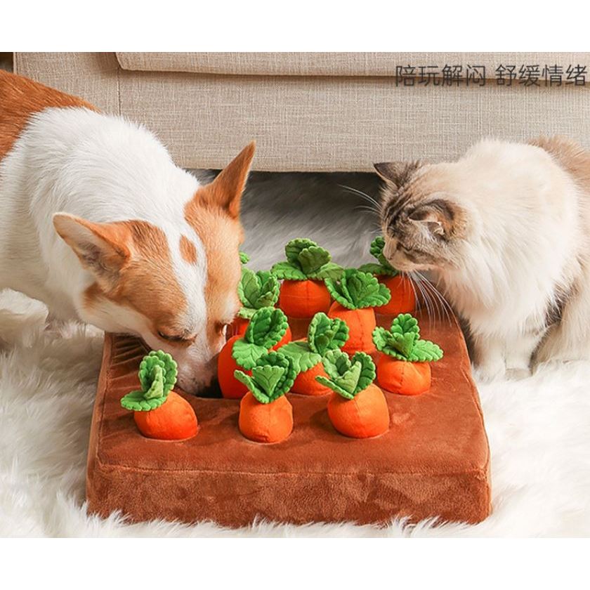 24小時出貨‼️寵物拔蘿蔔藏食玩具 寵物可愛玩具 寵物韓風玩具 寵物用品 寵物嗅聞玩具