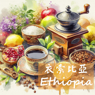 【老譚咖啡】*非洲莊園單品* 衣索比亞水洗/日曬/蜜處理 耶珈雪啡/西達摩/藝伎 #淺焙 #精品咖啡豆 #手沖咖啡