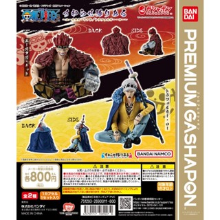 𓅓MOCHO𓅓 現貨 BANDAI Premium 扭蛋 航海王人物坐姿公仔 尤斯塔斯·基德&托拉法爾加·羅 全2種