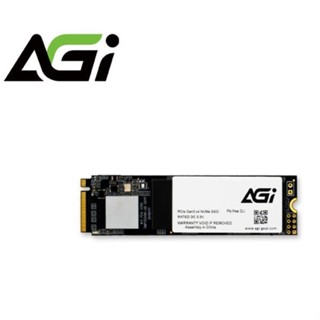 全新 現貨 AGI 亞奇雷 AI298 512GB M.2 PCIe SSD 固態硬碟 AI298系列