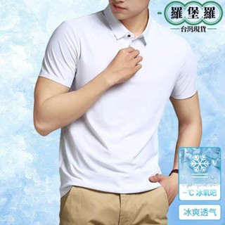【臺灣現貨】高品質冰絲涼感polo衫 速乾透氣 吸溼排汗 素面POLO衫 翻領立領網涼感 素色 制服工作服 夏季短袖男