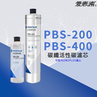【思維康SWEETCOM】美國原廠愛惠浦 EVERPURE PBS-200/PBS-400 碳纖活性碳濾心 原廠 雷射標