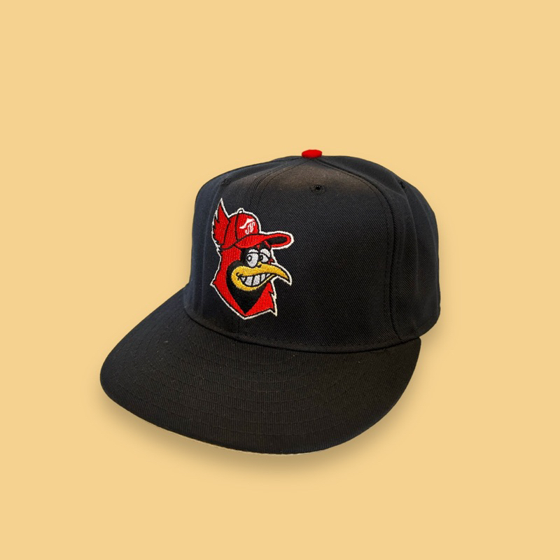 JCI：Vintage 90s Pro Line MLB 巴爾地摩 金鶯隊 全封棒球帽 嘻哈/ 古著 / New Era