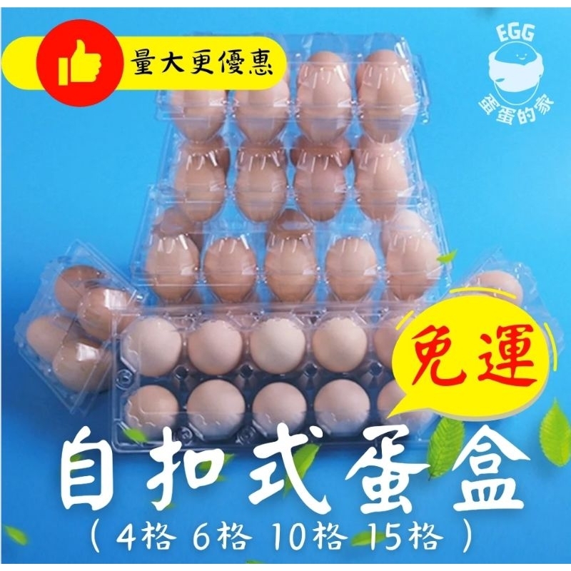 🔥宅配免運 現貨速出🔥台灣自扣式蛋盒 15格 10顆 6粒裝 4粒裝 雞蛋盒  塑膠蛋盒 雞蛋收納盒 一次性蛋盒