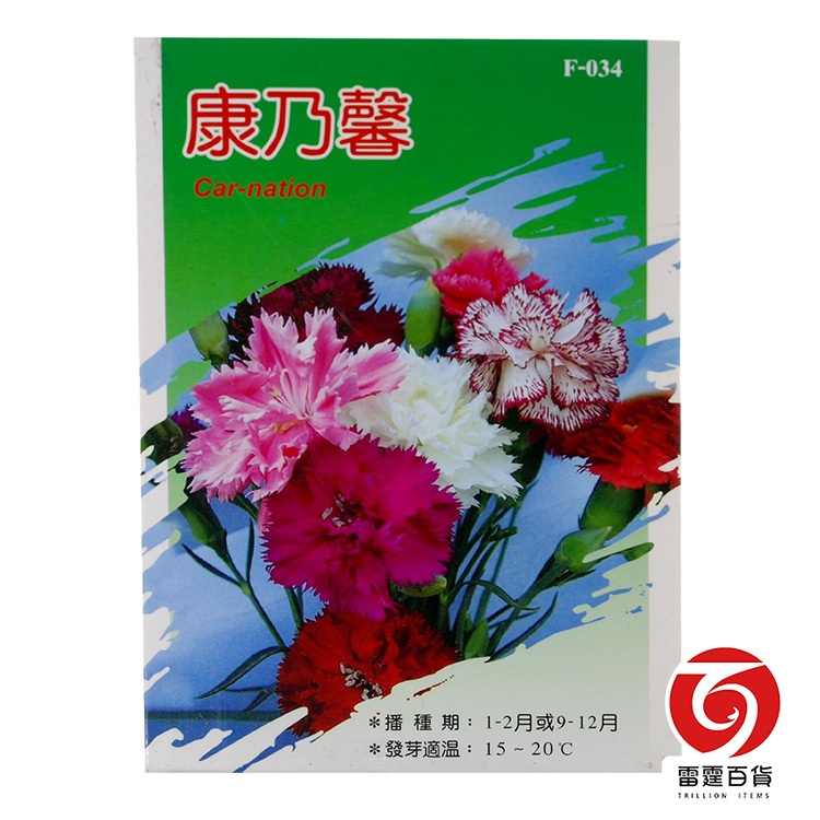 F034康乃馨/花卉種子/雷霆百貨