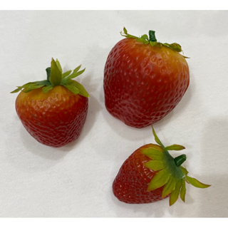 仿真人造草莓🍓(寬3公分 高3.5公分 厚2.5公分)