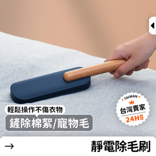 【24h急發貨】靜電 除毛刷 除塵 靜電刷 貓毛刷 除毛刷 刮毛器 除毛滾輪 黏毛刷 黏毛器 靜電除毛刷 集毛刷