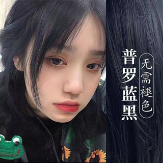 【臺灣現貨】普羅藍黑色純染髮膏學生版2024流行色自己在家染髮劑植物天然爆款