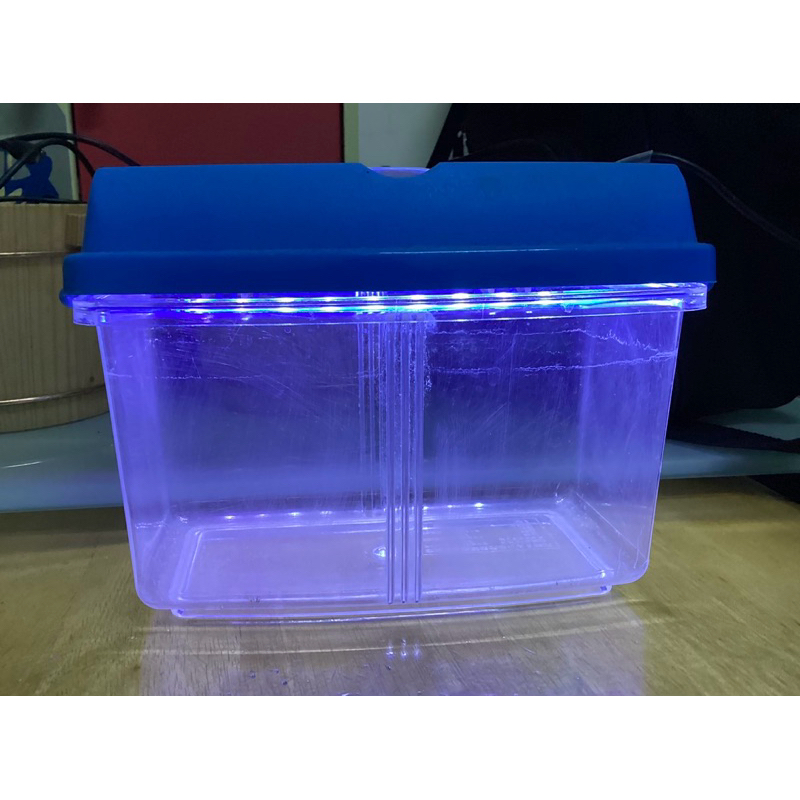 9成新空的寵物塑膠盒 自己加LED燈 鬥魚魚缸 有隔板