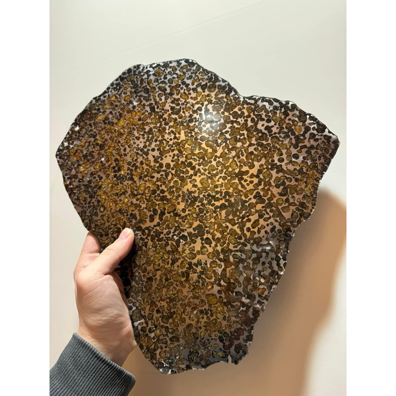 【星語】Sericho肯亞橄欖石鐵隕石✨霸氣切片