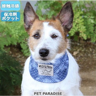 【PET PARADISE】圖騰造型涼感領巾/附保冷劑 (3S/SS)｜PP 2022新款 COOLMAX