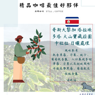 精品咖啡必喝 哥斯大黎加 塔拉珠 多塔 火山寶藏莊園 卡杜拉【日曬】國際 SCA 生豆品質鑑定師 x 烘豆師烘焙
