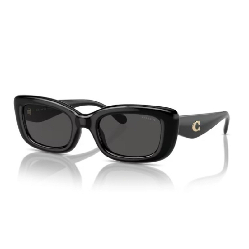 COACH HC8390U-Cr610 黑色流行復古太陽眼鏡《預購》全新正品