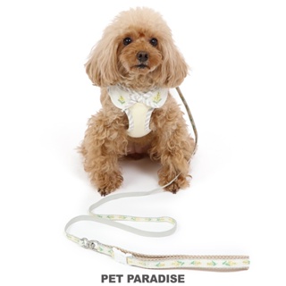 【PET PARADISE】寵物一體成形外出胸背/牽繩不可拆 (4S/3S)｜PP 2023新款 寵物精品 幼犬