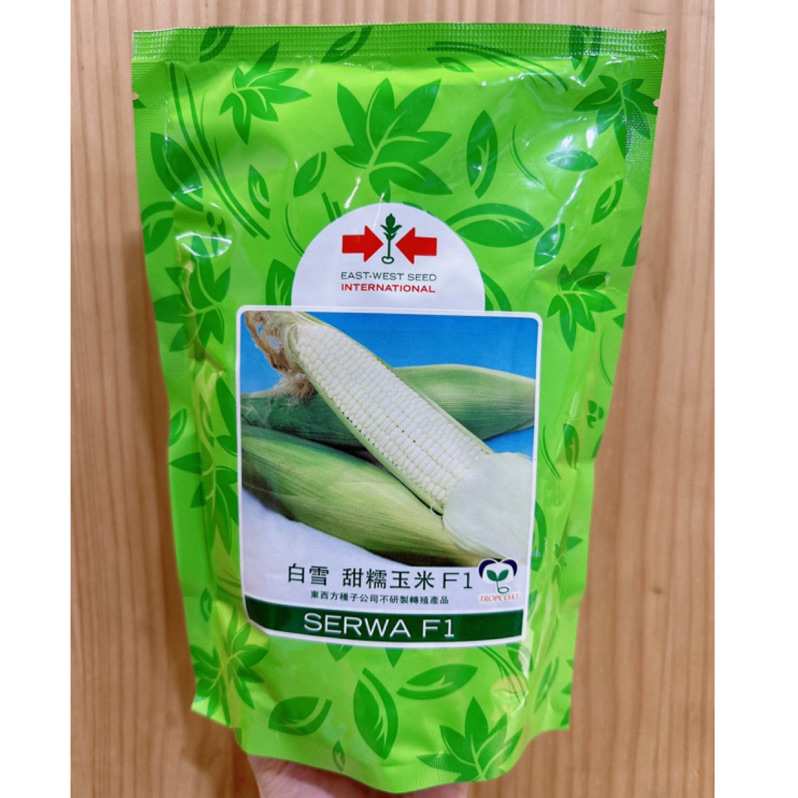城禾農產🍃 白雪甜糯玉米種子 25克 約150粒 雪白甜糯玉米種子 甜糯玉米種子 糯玉米種子 白玉米種子 玉米種子