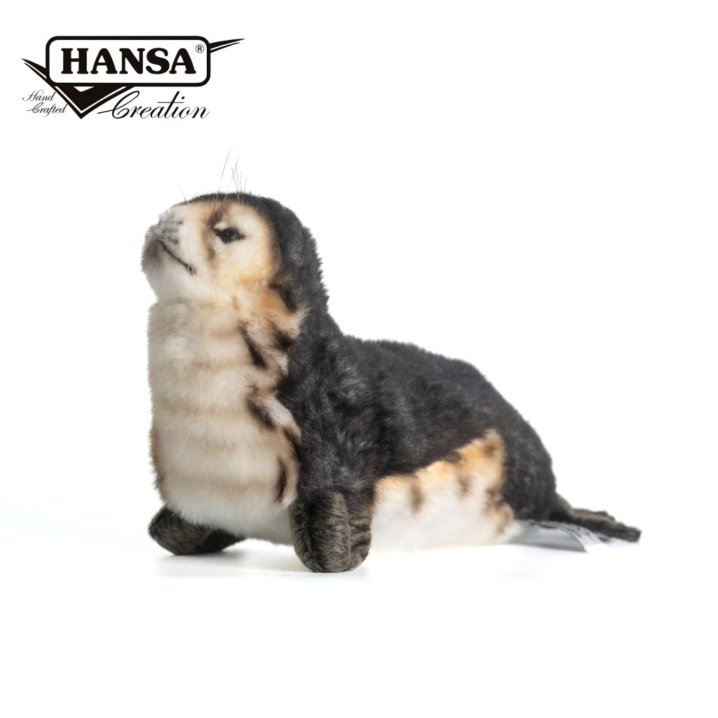 Hansa 6803-僧海豹寶寶30公分長