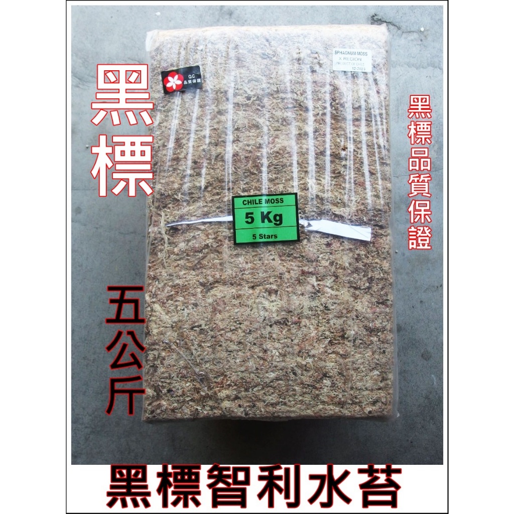 《柯比植物園》智利 水苔，水草 (鹿角蕨，食蟲植物，蘭花，甲蟲)  5KG 黑標 台中可自取 品質保證