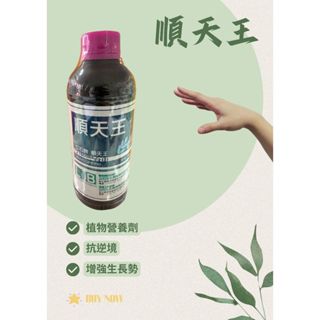 順天王500ML 抗逆境 增強生長 花卉 園藝 瓜果 葉菜 果樹 營養劑