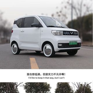 miniev復古馬卡龍輪轂蓋鏡面鍍鉻鋼圈輪轂12寸進口