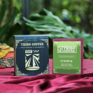 TRIBO COFFEE - 衣索比亞 班奇馬吉 藝伎種 酒香日曬│淺中焙 (濾掛式咖啡 5入; 10入盒裝)