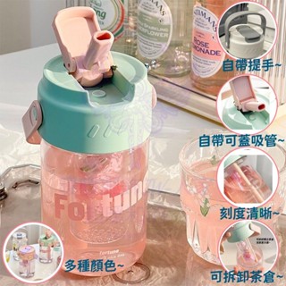 吸管水壺 小紅書吸管杯 吸管水壺 大容量水壺 提手水壺 耐熱水壺 茶隔水壺 吸管水杯 塑膠杯 塑膠水壺 水壺 水杯吸管杯