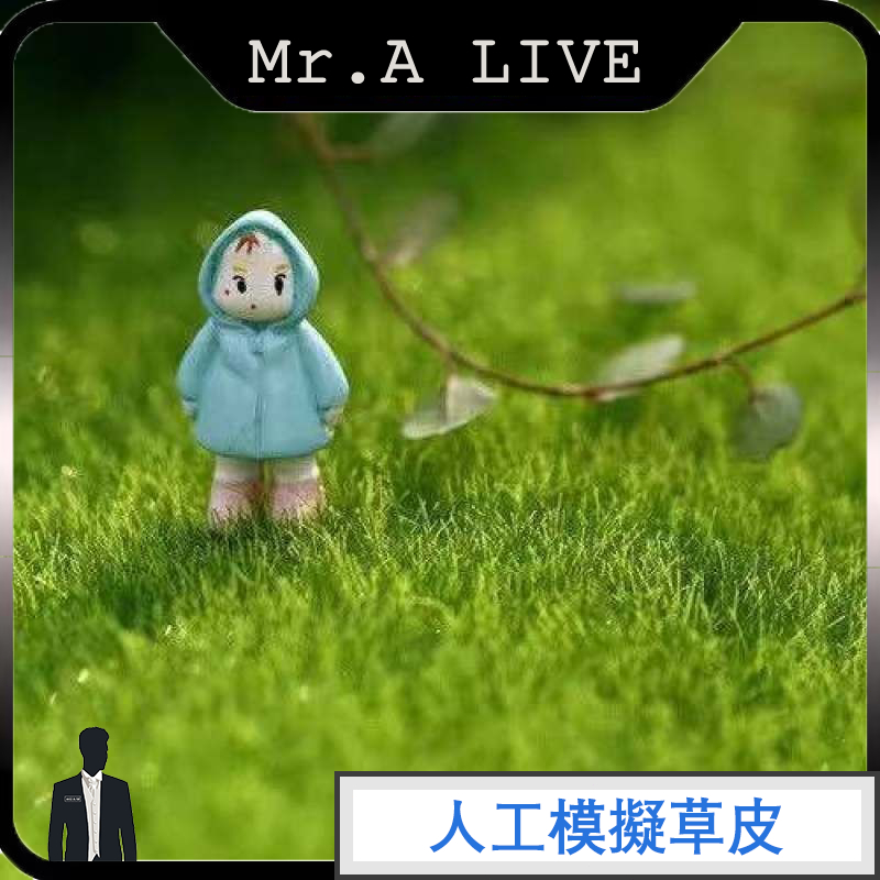 🔥【Mr.A Live】🔥超仿真人工草皮 造景裝飾品 多肉裝飾 拍攝道具 人造草皮 微景觀 假草皮 塑膠草皮 造景布置