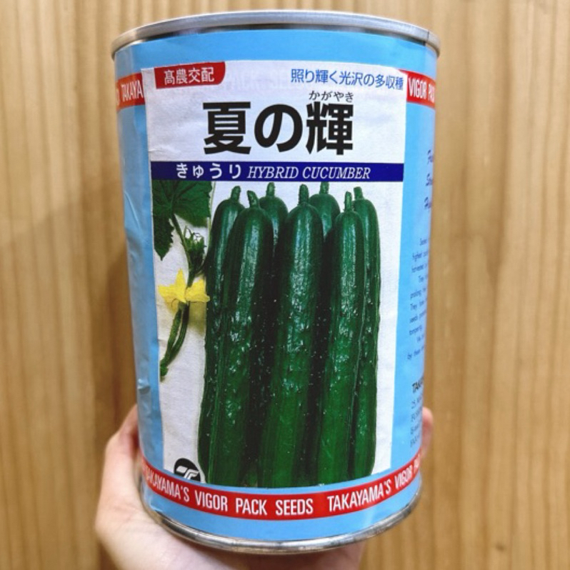 城禾農產🍃 日本夏之輝小黃瓜種子 100克 約3800粒 日本小黃瓜種子 小黃瓜種子 夏之輝黃瓜種子 夏之輝小黃瓜種子