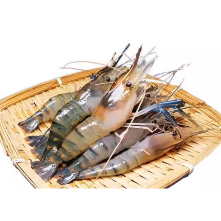 活蝦鮮凍泰國蝦(公母混合)約14隻 /600克/盒 💳可刷卡 🎀玥來玥好吃🎀海誠水產