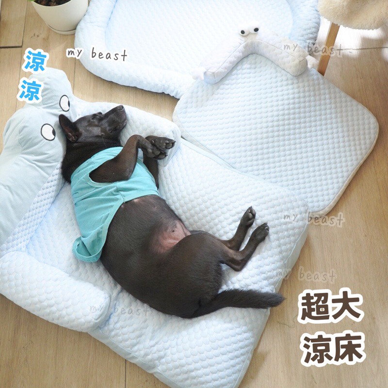 my beast豆豆涼墊❄️預購台灣 🇹🇼 寵物涼墊 狗涼墊 寵物涼窩 貓窩 狗涼床 寵物降溫 狗涼窩 米克斯床 大狗床