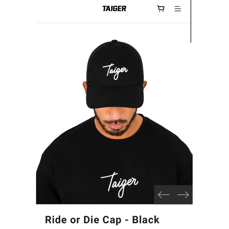 [TAIGER] 絕版 現貨 火山灰 老帽 帽子 全刺繡 鴨舌帽 穿搭 ride die stay dry 帽