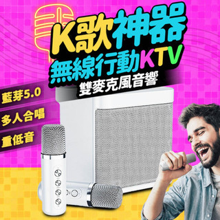【贈收納袋】YS-203 無線麥克風音響｜藍芽K歌音響 攜帶式KTV 行動音響