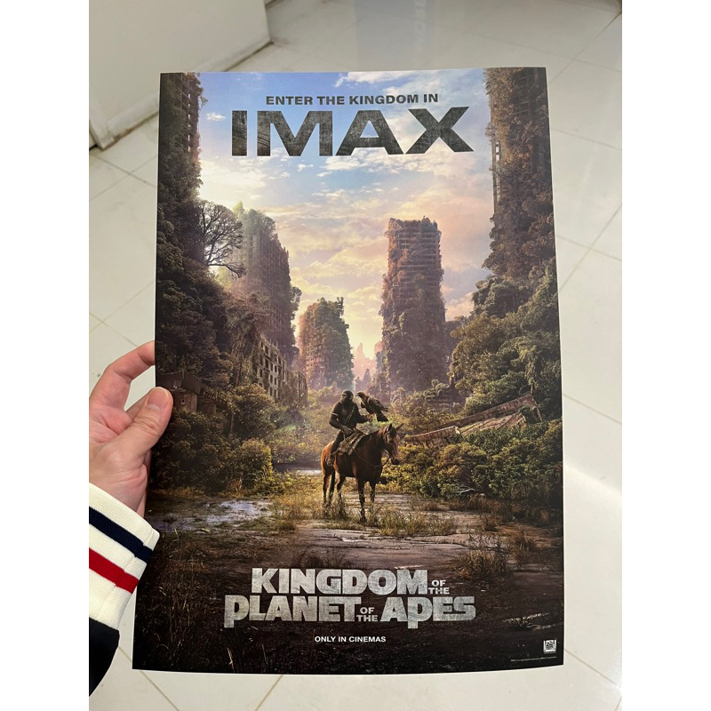 猩球崛起王國誕生IMAX海報