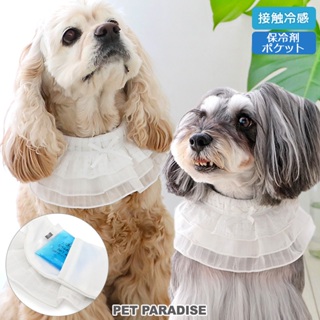 【PET PARADISE】蕾絲寵物涼感領巾/附保冷劑 (3S/SS/S/SM)｜PP 2024新款 接觸涼感 中型犬
