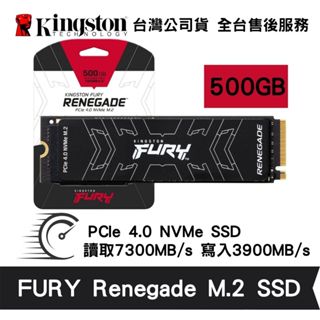 Kingston 金士頓 FURY Renegade 500GB PCIe 4.0 NVMe M.2 SSD 固態硬碟
