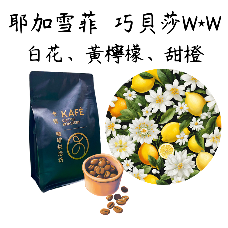 衣索比亞 耶加雪菲 巧貝莎村 Wolisho種 水洗 G1 100克 半磅 咖啡豆