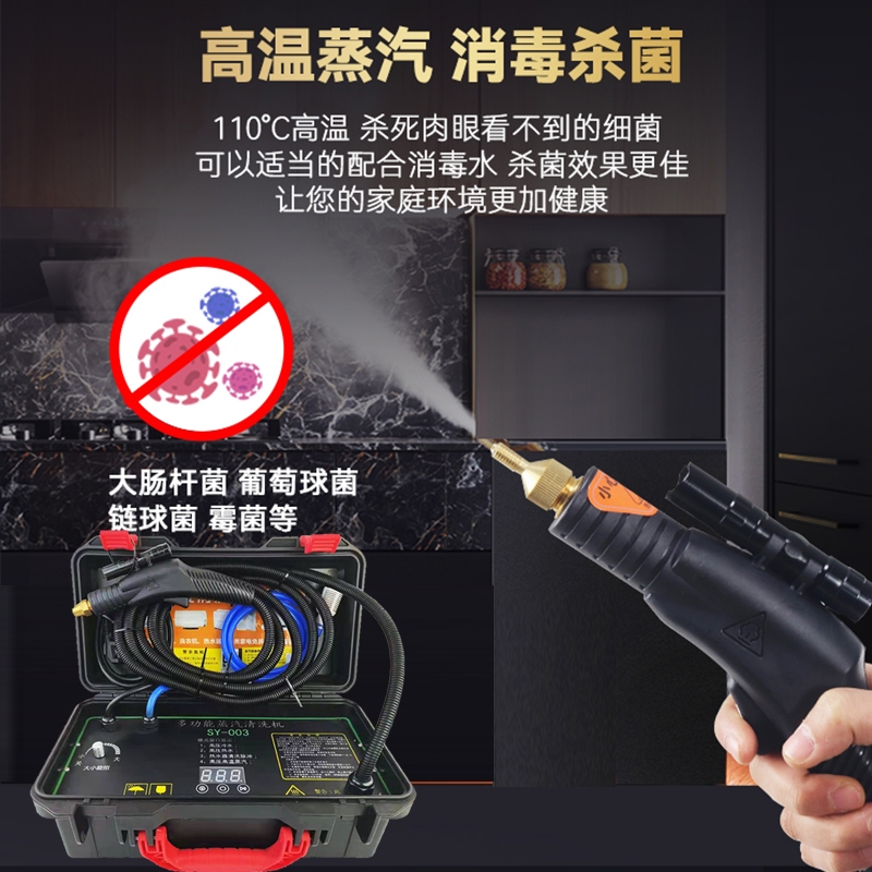 110v臺灣蒸汽清潔機空調清洗機家油煙機電熱水器高溫蒸汽高壓水槍