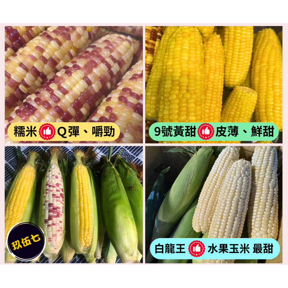 佳穗9號 黃甜玉米🌽水果玉米🌽糯米 彩虹玉米🌽自產自銷 歡迎嚐鮮😋