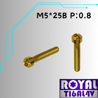 【瘋螺絲】ROYAL 鈦合金螺絲★ M5*25B P:0.8 錐形螺絲★64鈦/正鈦/鈦合金螺絲★出貨附發票★土豪金