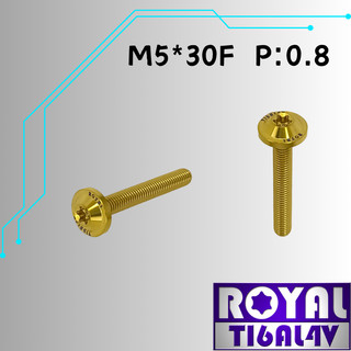 【瘋螺絲】ROYAL 鈦合金螺絲★ M5*30F P:0.8 飛碟頭螺絲★64鈦/正鈦/鈦合金螺絲★出貨附發票★土豪金