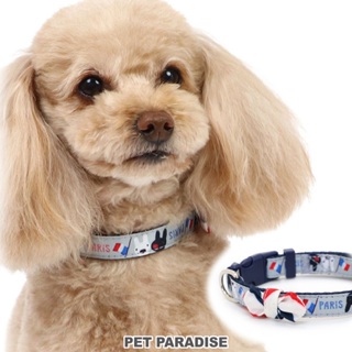 【PET PARADISE】寵物狗狗項圈 (3S/SS/S)｜Gaspard et Lisa 2024新款 寵物項圈