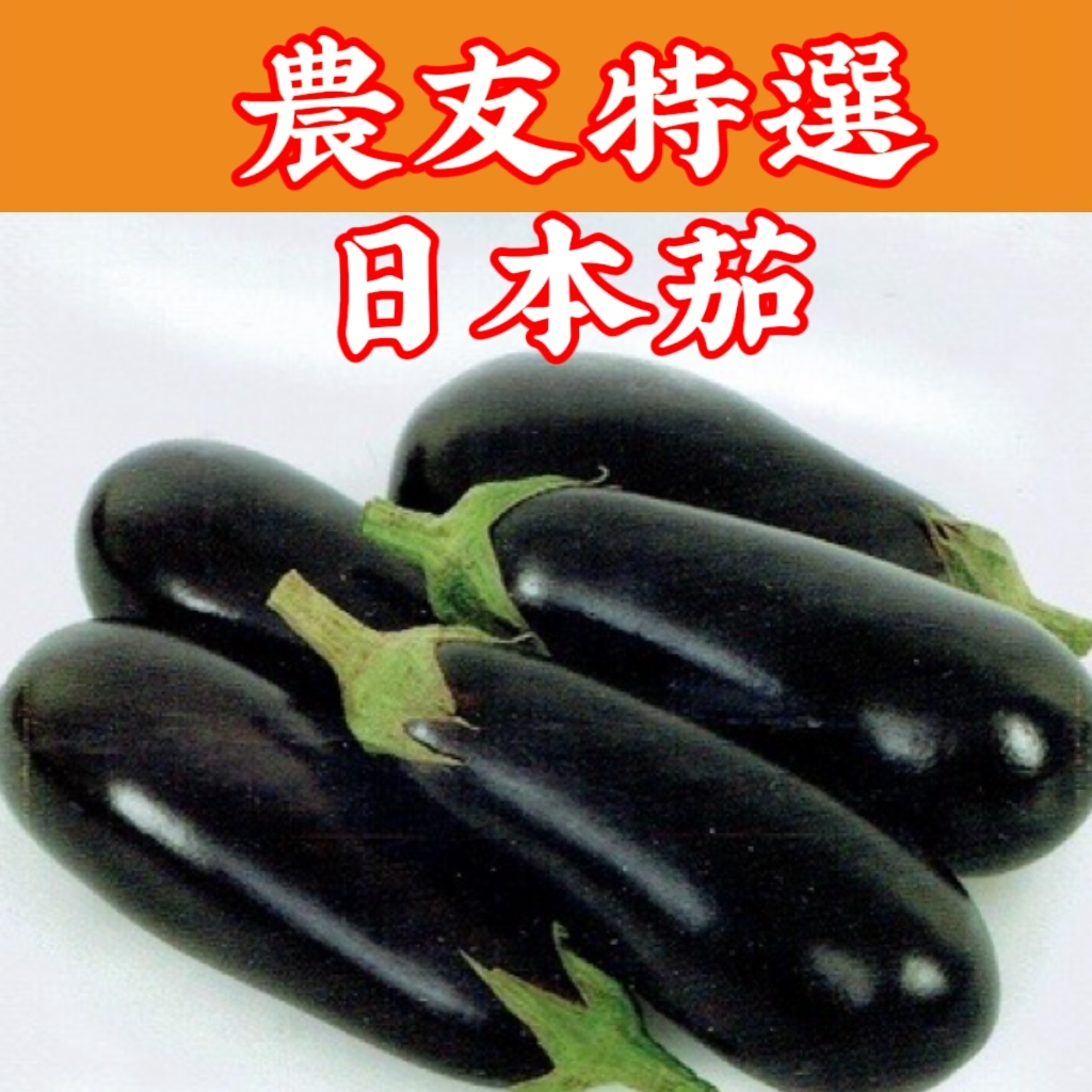 【現貨】 日本茄 Eggplant (sv-395)  茄子種子 【蔬果種子】農友種苗特選種子 每包約50粒