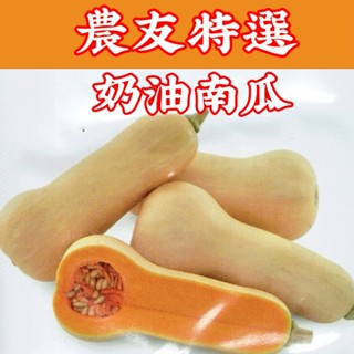 奶油南瓜 (Squash) sv-265 【農友種苗】每包約7粒 特選 蔬果 種子 原包裝種子