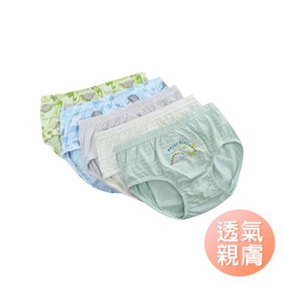 雪倫小舖-商檢合格臺灣現貨 兒童內褲 女童內褲 純棉內褲 小孩內褲 幼童內褲 寶寶內褲 三角褲